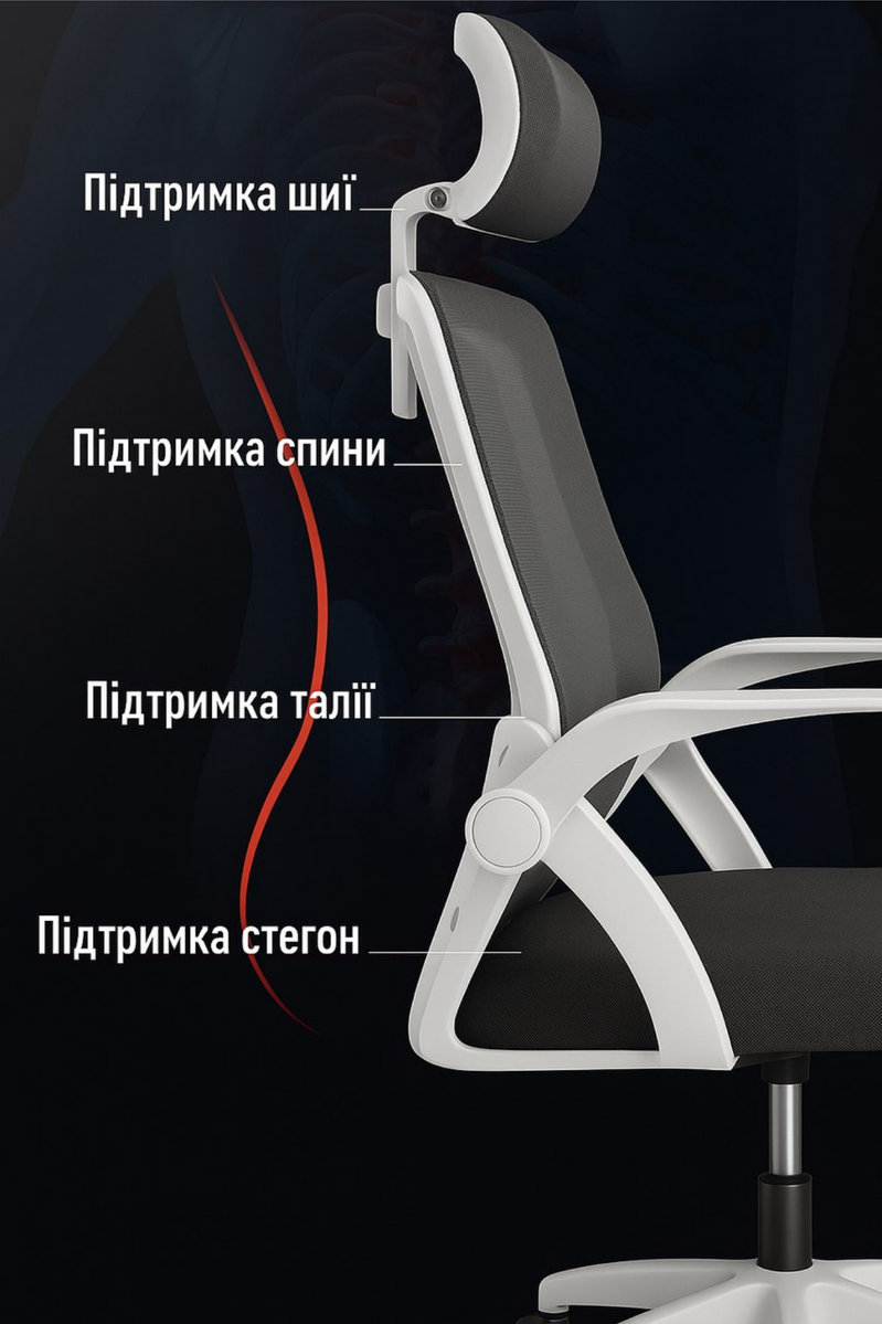 Кресло для офиса или дома ErgoFlex, сетка, бело-черное 2352434 фото